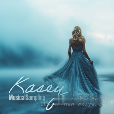 [柔和电影感女性连奏人声音源] Musical Sampling Kasey [KONTAKT]（3.25GB）