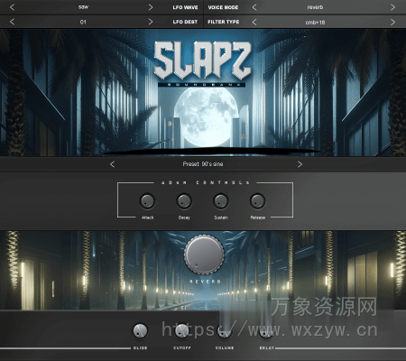 [现代西海岸嘻哈音色乐器插件] Diamond Loopz Slapz 2 VST RETAiL [WiN, MacOSX]（198MB）
