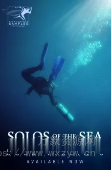 [独奏连奏小提琴音源] Performance Samples Solos of the Sea Solo Violin B [KONTAKT]（491MB）