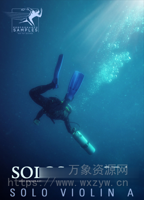 [独奏连奏小提琴音源] Performance Samples Solos of the Sea Solo Violin A [KONTAKT]（160MB）