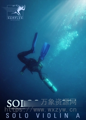 [独奏连奏小提琴音源] Performance Samples Solos of the Sea Solo Violin A [KONTAKT]（160MB）