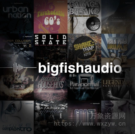 [Big Fish Audio综合素材包] Big Fish Audio BUNDLE 31-in-1 [多格式Kontakt]（46.2GB）