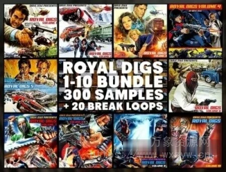 [300 个预切采样合集] Dave Zeke Royal Digs Volumes 1-10 BUNDLE (300 Prechopped Samples + 20 BONUS Break Loops) [WAV]（778.80MB）