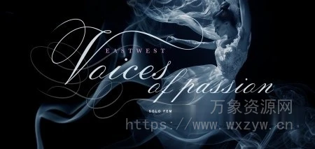 [印度叙利亚民族音源]EWQL Voices of Passion India and Syria [KONTAKT]（187MB）