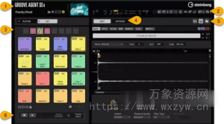 [虚拟鼓手基础版] Steinberg Groove Agent SE 6 v6.0.10-R2R [WiN]（152.5MB）