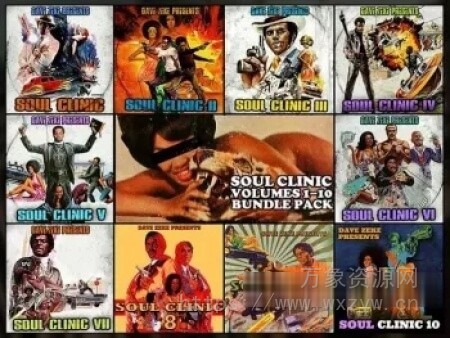 [300 个预切采样合集] Dave Zeke Soul Clinic Volumes 1-10 BUNDLE (300 Prechopped Samples) [WAV]（780.47MB）