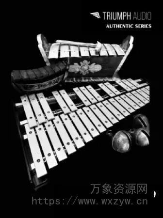 [中国编钟西藏钟钟琴动态音调打击乐器音源] Triumph Audio Bars [KONTAKT]（1.57GB）