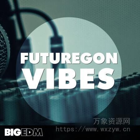 [浩室电子舞曲素材Spire预置Serum预置Sylenth1预置] Big EDM Futuregon Vibes [WAV, MiDi]（1.26GB）