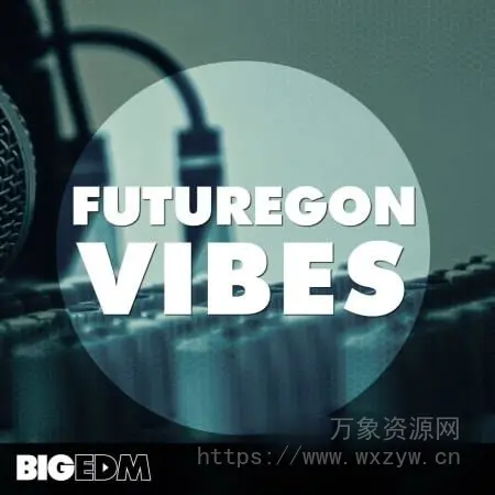 [浩室电子舞曲素材Spire预置Serum预置Sylenth1预置] Big EDM Futuregon Vibes [WAV, MiDi]（1.26GB）