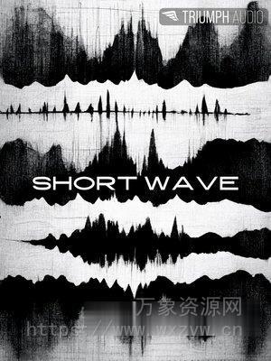 [短波无线电信号实验性氛围电子采样库] Triumph Audio Short Wave [KONTAKT]（1.61GB）