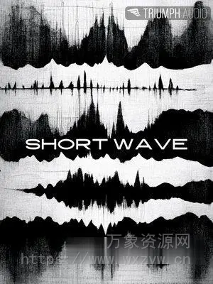 [短波无线电信号实验性氛围电子采样库] Triumph Audio Short Wave [KONTAKT]（1.61GB）