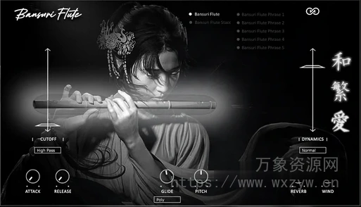 [中国长笛音源插件] Infinite Audio Bansuri Flute VST3 AU [WiN, MacOSX]（412MB）