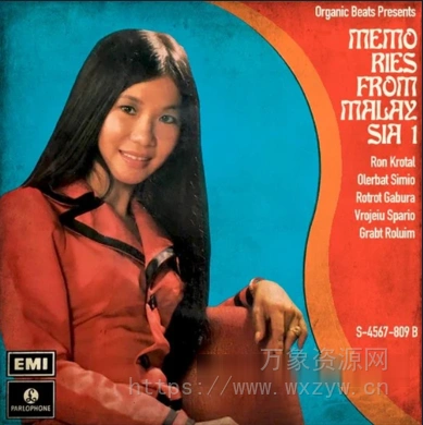 [东亚缤纷氛围采样]Boom Bap Labs Organic Beats Memories From Malaysia 1 [WAV]（29.39Mb）