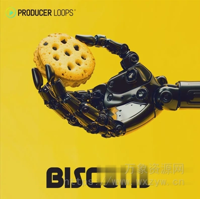 [科技浩室泰克诺舞曲素材] Producer Loops Biscuits [MULTiFORMAT]（1.2GB）