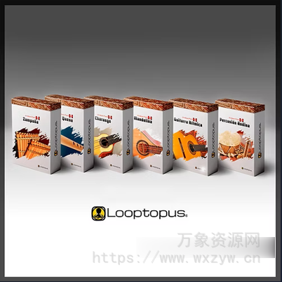 [安第斯六种古老乐器合集] Looptopus Andean Pack 1 Full [KONTAKT]（238.69MB）