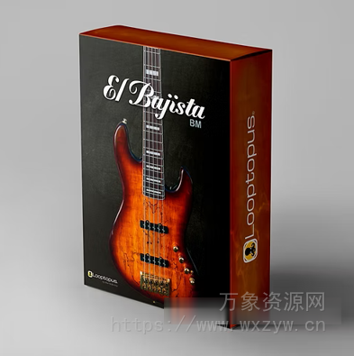 [贝斯Bass乐器插件] Looptopus El Bajista v1.0.1 [WiN, MacOSX]（650.19MB）
