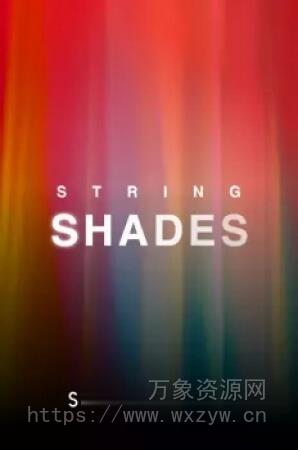 [14件室内弦乐合奏团音源] Sonixinema String Shades [KONTAKT]（13.41GB）