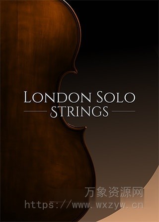 [最好的弦乐音色] Big Fish Audio London Solo Strings KP2 v2.0.0 [KONTAKT]（2.07GB）