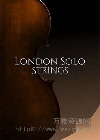 [最好的弦乐音色] Big Fish Audio London Solo Strings KP2 v2.0.0 [KONTAKT]（2.07GB）