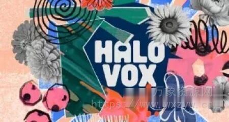 [PADs音序纹理人声音源] Native Instruments Halo Vox v1.0.0 [KONTAKT]（429MB）