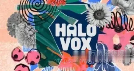 [PADs音序纹理人声音源] Native Instruments Halo Vox v1.0.0 [KONTAKT]（429MB）