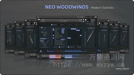 [现代木管独奏音源] Insanity Samples Neo Woodwinds v3.0.0 [KONTAKT]（8.75GB）