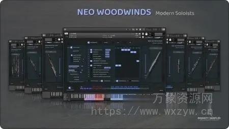[现代木管独奏音源] Insanity Samples Neo Woodwinds v3.0.0 [KONTAKT]（8.75GB）