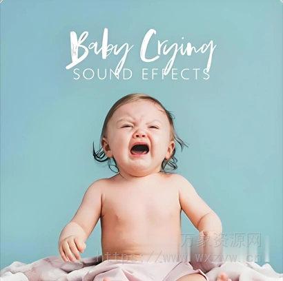 [婴儿哭声音效] Sound Effects Zone Baby Crying Sound Effects FLAC [WAV]（179.85MB）
