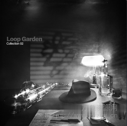 [爵士布鲁斯采样音源] Loop Garden Collection 02 [WAV, KONTAKT]（7.9GB）
