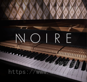 [雅马哈三角钢琴]Native Instruments Noire v1.2.1 [KONTAKT]（14.9GB）