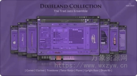 [迪克西兰传统爵士乐乐器合集音源]Insanity Samples DIXIELAND COLLECTION v1.0.0 [KONTAKT]（4.1GB）