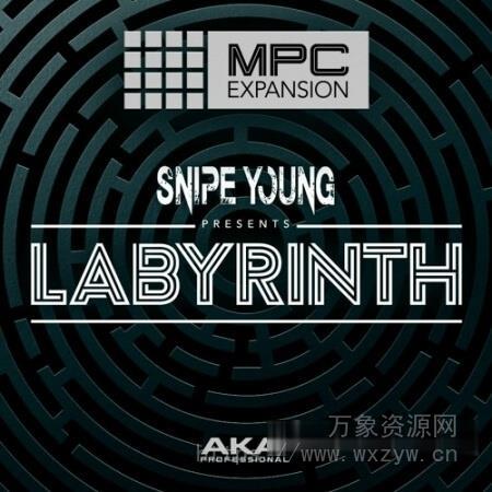 [MPC扩展嘻哈说唱] Akai MPC Expansion LABYRINTH Full Install [WiN]（1.75GB）