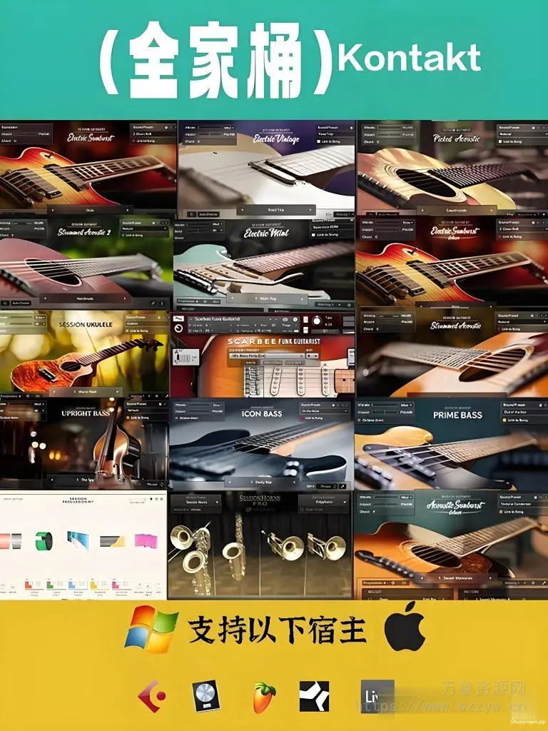 [更新：20把全家桶]Native Instruments Session Guitarist/Bassist自动伴奏扫弦电木吉他贝斯 [KONTAKT]（271GB+）