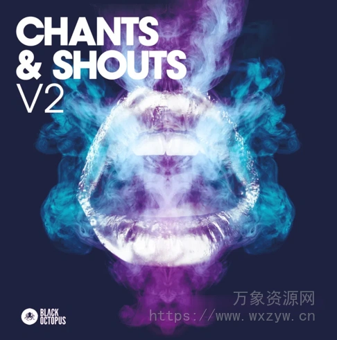 [私密：EDM电子舞曲采样]Black Octopus Sound Chants and Shouts Vol 2 [WAV]（834.10MB）