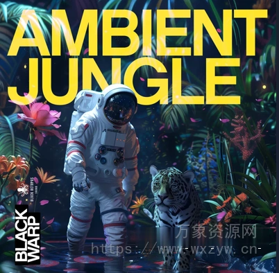 [私密：回响重拍氛围驰放采样]Black Octopus Sound Ambient Jungle By Blackwarp [WAV]（910.99MB）