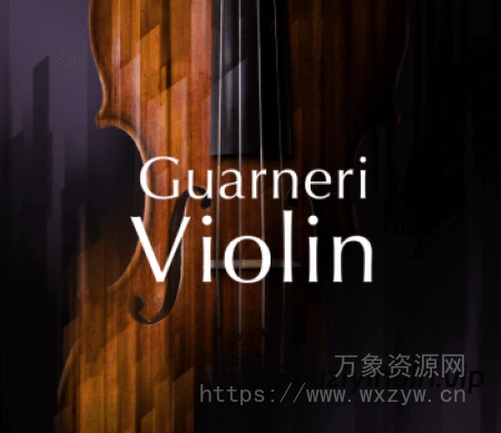 [瓜奈里小提琴音源]Native Instruments Guarneri Violin v2.0.0 [KONTAKT]（25GB）