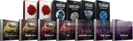 [7 个嘻哈浩室素材集合]Cymatics REPIET Artist Pack [WAV, MiDi]（453MB）