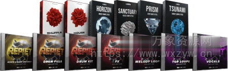 [7 个嘻哈浩室素材集合]Cymatics REPIET Artist Pack [WAV, MiDi]（453MB）