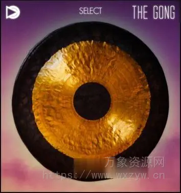 [非常适合冥想音乐制作：锣\中国锣]SampleScience The Gong x64 VST AU [WiN, MacOSX]（29.7MB)