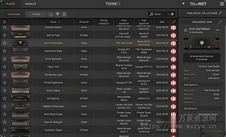 [Tonex音色模型预置合集]IK Multimedia ToneX Presets Bundle v2025.5（30MB）