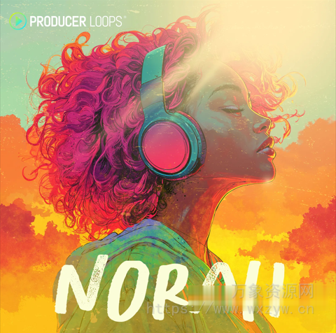 [浩室素材Ableton模板]Producer Loops Norah [WAV, MiDi, REX, AiFF]（1.20GB）