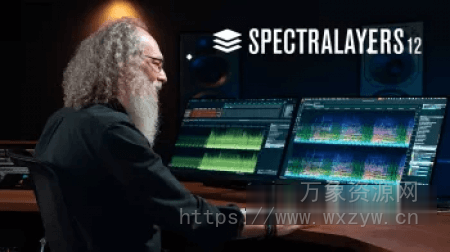 [音频分离工具]Steinberg SpectraLayers Pro v12.0.1 U2B [MacOSX]（3.97GB）