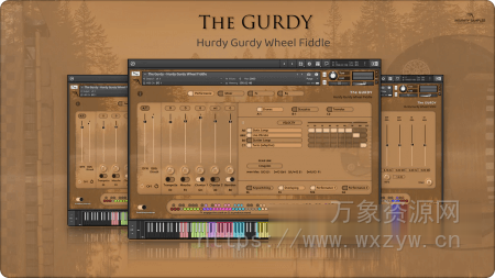 [乡村民谣乐器音源]Insanity Samples The GURDY v1.0.0 [KONTAKT]（4.88GB）
