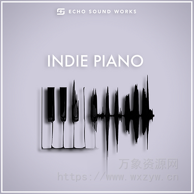 [流行电子舞曲钢琴音源]Echo Sound Works Indie Piano [KONTAKT]（887MB）