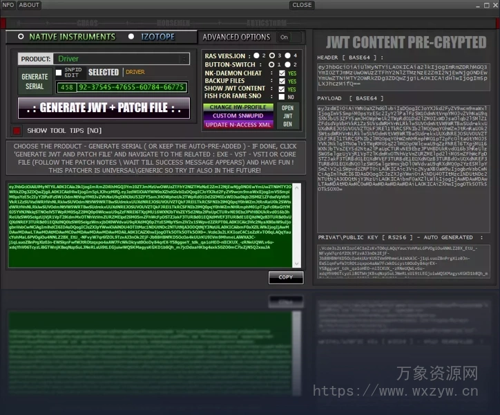 [试用版转换为完整版工具]Native Instruments and Izotope Generic Keygen’N’Patch X64-Tracer [WiN]（151.89MB）