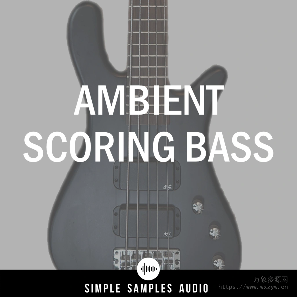 [五弦Warwick电贝斯指弹音源]Simple Samples Audio Ambient Scoring Bass v1.1.0 [KONTAKT]（264MB）