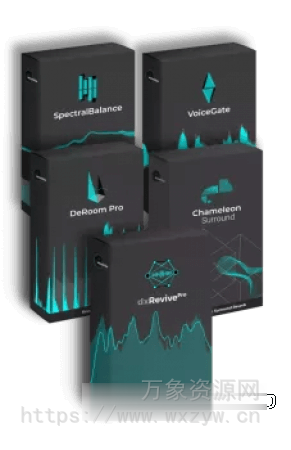 [智能语音处理插件合集]accentize Bundle v2025.07 ARM-GUISEPPE [MacOSX]（439.96MB）