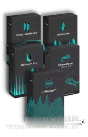 [智能语音处理插件合集]accentize Bundle v2025.07 ARM-GUISEPPE [MacOSX]（439.96MB）