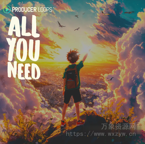 [怀旧乐素材Ableton模板]Producer Loops All You Need [WAV, MiDi, REX, AiFF]（1.27GB）