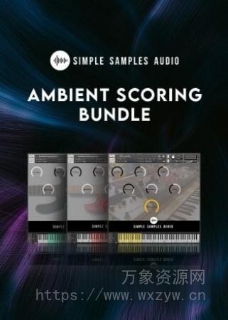 [五弦Warwick电贝斯音源]Simple Samples Audio Ambient Scoring Bundle v1.0 [KONTAKT]（1.77GB）